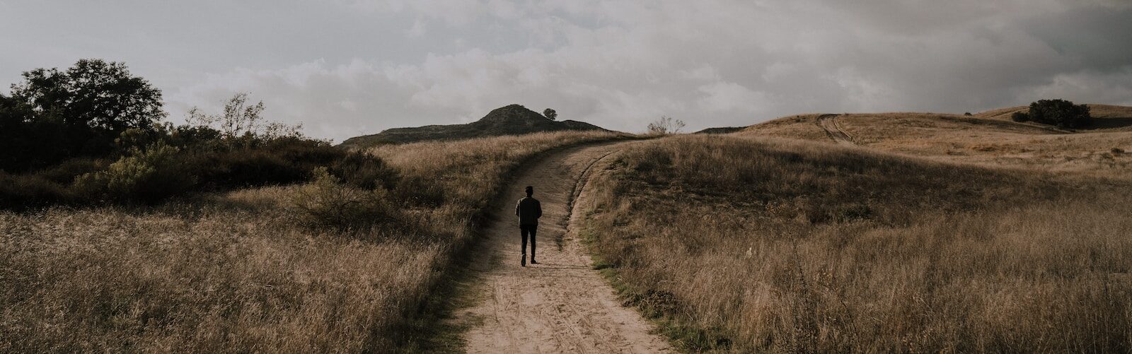 person walking on road between grasses