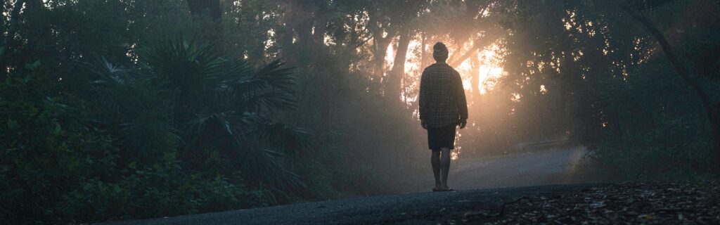 person walking on street between forest